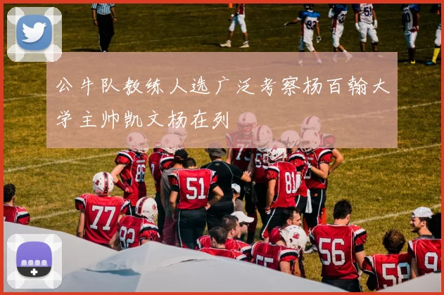 公牛队教练人选广泛考察杨百翰大学主帅凯文杨在列