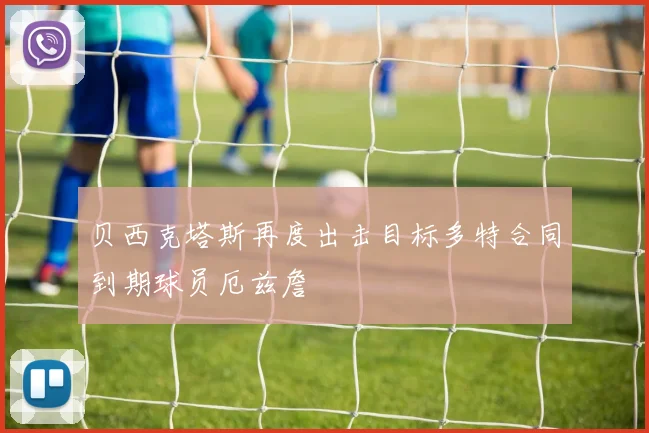 贝西克塔斯再度出击目标多特合同到期球员厄兹詹
